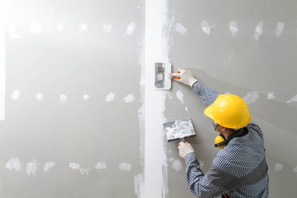 Trusted Monticello, MS Mold Removal Experts